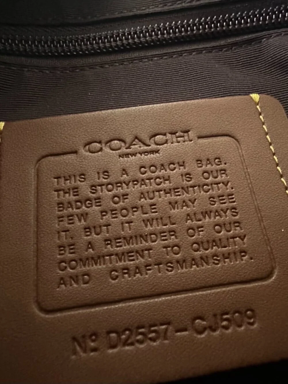 Coach Elias Orange Mango Leather Crossbody Bag Style #D2557-CJ509 *NWT*